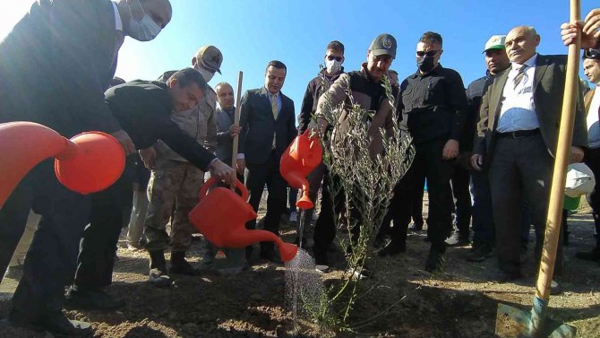 Şanlıurfa’da Binlerce Ağaç Toprakla Buluştu