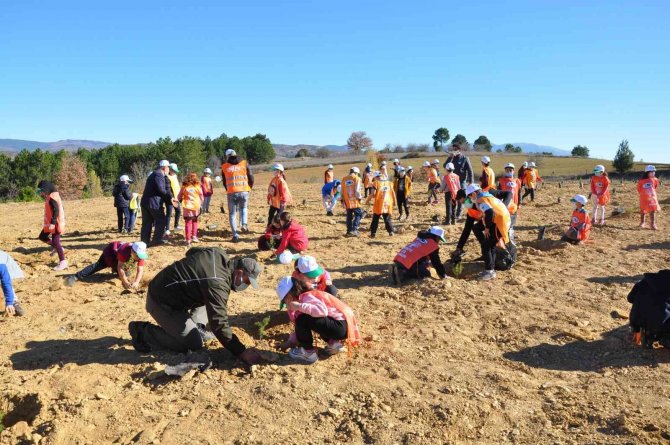Minik Tema Gönüllüleri Doğayla, Fidanlar Da Toprakla Buluştu