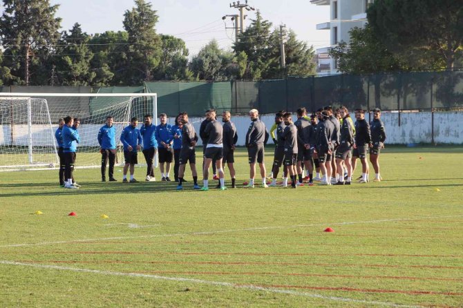 Horoz Çıkış Arıyor