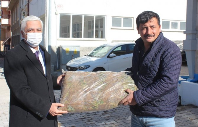 Tavşanlı’da 21 Çiftçiye 170 Bin Çilek Fidesi