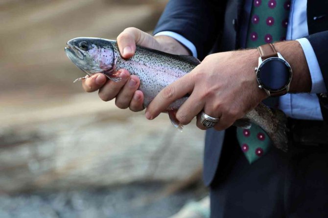 Bu Barajda Yılın 12 Ayı Balık Üretilebiliyor