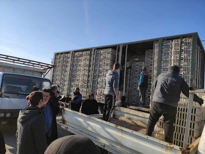 İ̇psala’da 43 Kadın Girişimciye 4 Bin 515 Tavuk Verildi