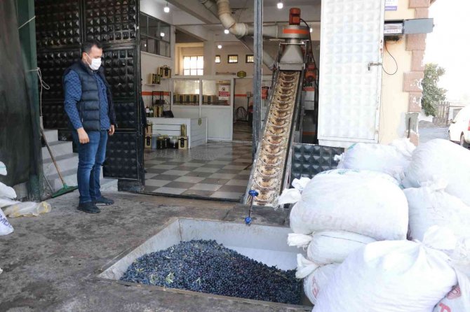 Maraş Zeytinyağında Hedef Avrupa