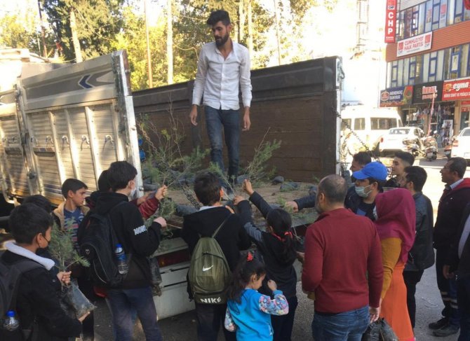 Kahta’da 20 Bin Fidan Dağıtıldı