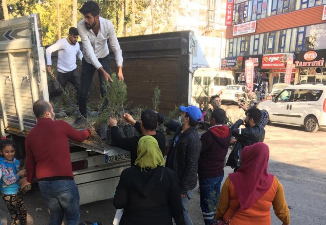 Kahta’da 20 Bin Fidan Dağıtıldı