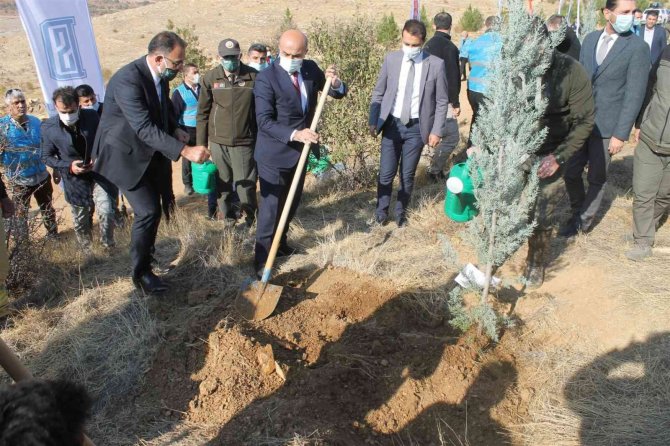 Mardin’de Fidan Dikme Etkinliği