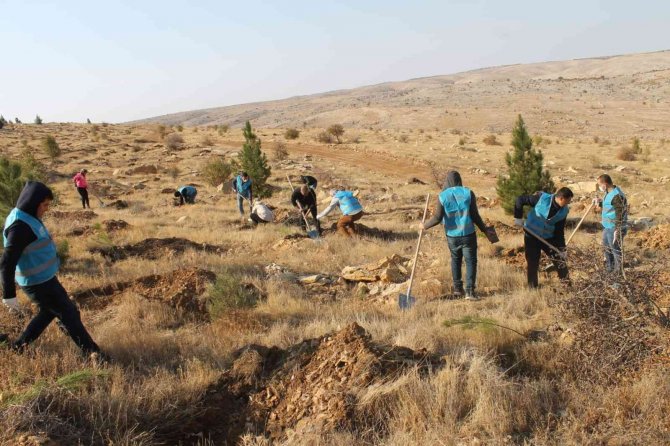Mardin’de Fidan Dikme Etkinliği