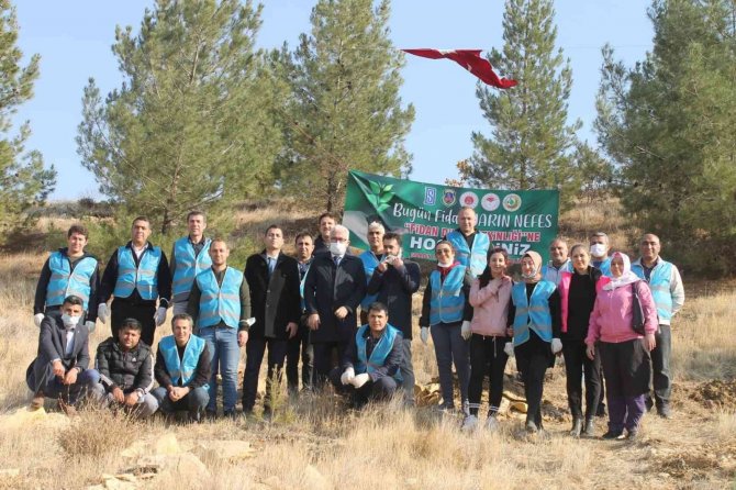 Mardin’de Fidan Dikme Etkinliği