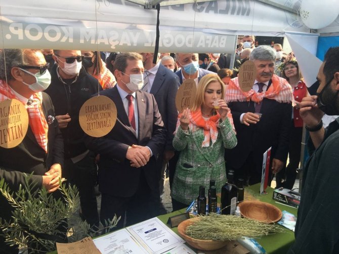 Milas Zeytin Hasat Şenliği Başladı