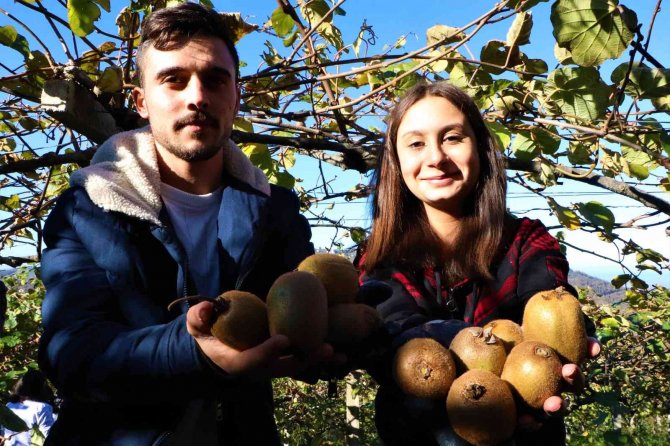 Omü’de Uygulamalı Eğitimde Hasat Zamanı