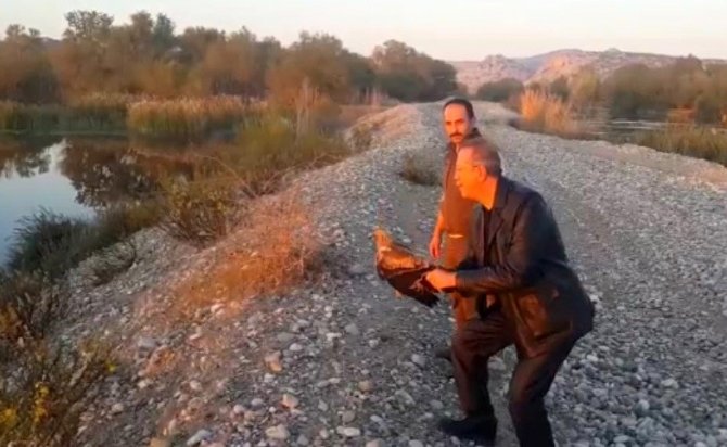Tedavisi Tamamlanan Kartal Doğaya Salındı