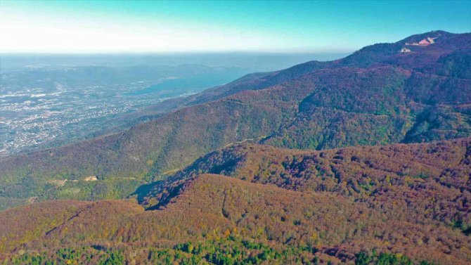 Bir Yanda Güneş, Zirvede Kar, Ağaçlarda Sonbaharın Renkleri