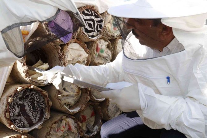 Siirt’te Terörden Temizlenen Bölgede Bal Hasadı Yapıldı