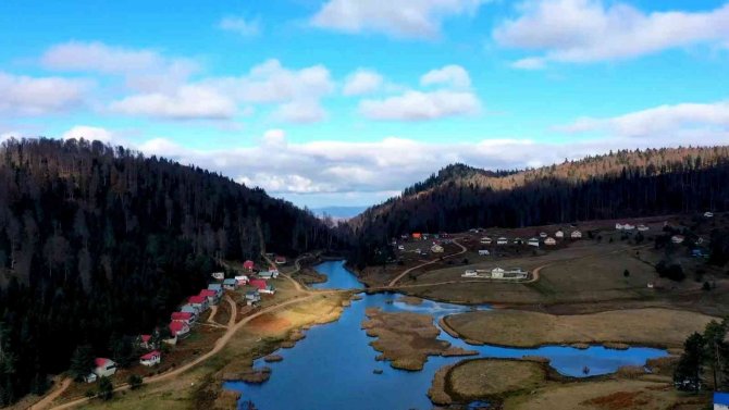Akyazı’da Sisin Sonbahar İle Buluşması Görsel Şölen Oluşturdu