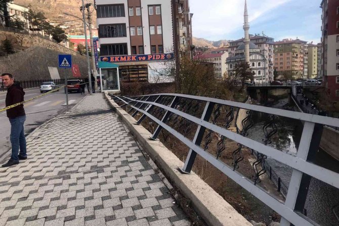 Freni Boşalan Kamyonet Önce Otomobile, Ardından Kaldırımdaki Yayalara Çarptı: 5 Yaralı