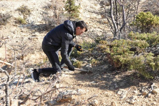 Karaman’da Araştırma Görevlisi 50 Bin Meşe Palamudunu Toprakla Buluşturacak
