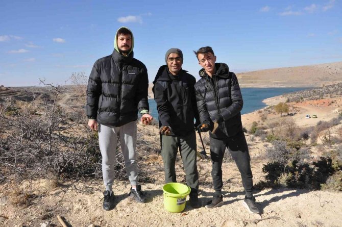 Karaman’da Araştırma Görevlisi 50 Bin Meşe Palamudunu Toprakla Buluşturacak
