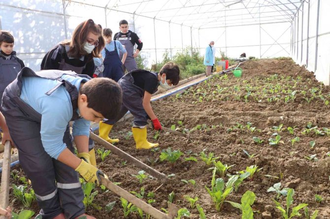 Okuldaki Serada Hem Öğreniyor Hem Eğleniyorlar