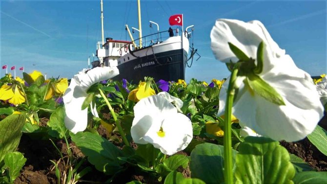 Samsun Kışın Da Çiçek Bahçesi