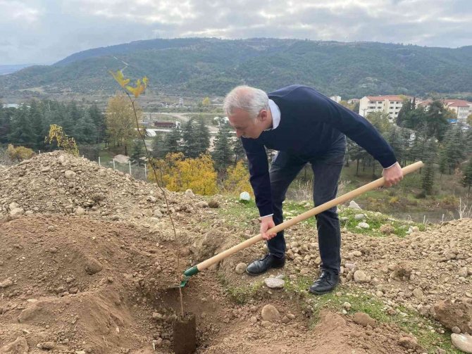 Başkan Ve Personeli Fidan Dikti