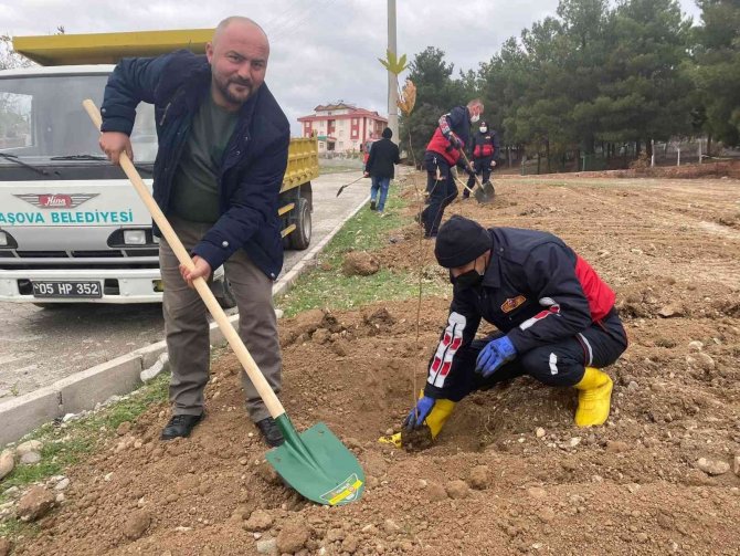 Başkan Ve Personeli Fidan Dikti