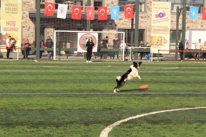 Ümraniye’de Düzenlenen “Köpekli Frizbi Yarışması” Renkli Görüntülere Sahne Oldu