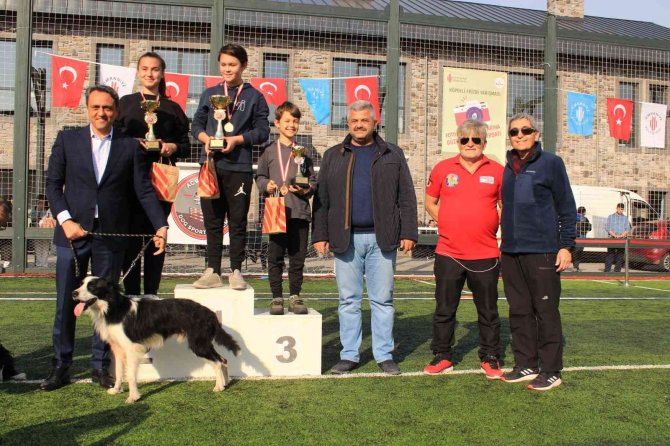 Ümraniye’de Düzenlenen “Köpekli Frizbi Yarışması” Renkli Görüntülere Sahne Oldu
