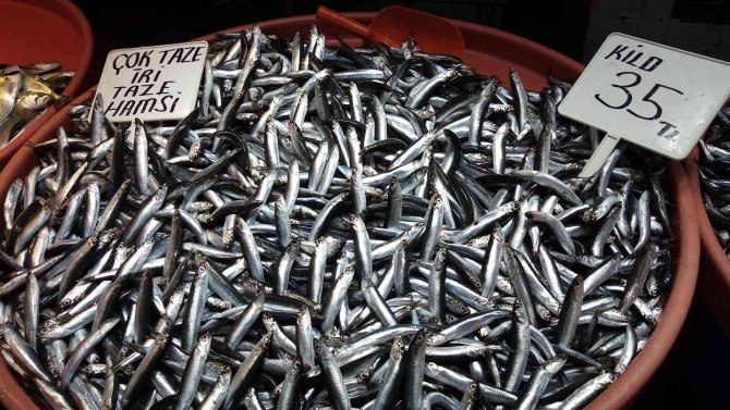 Balık Fiyatları Güzel Havaya Rağmen Düşmüyor