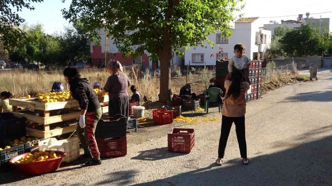 Şiddet Haberlerinden Etkilendi, Kadınları Üretime Geçirdi