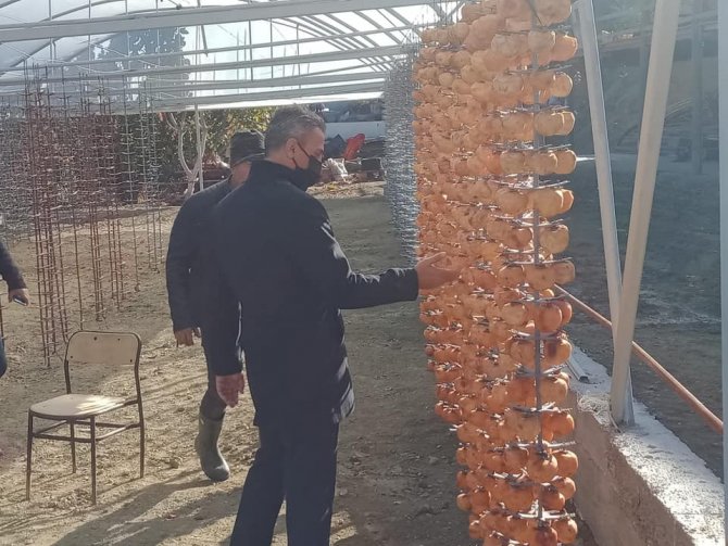 Hasadında Sona Gelinen Cennet Hurmaları Kurutulmaya Bırakıldı