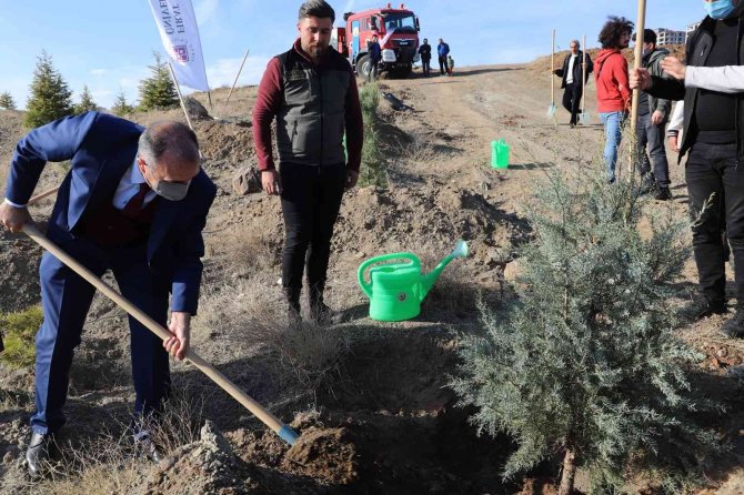 Fü’de 23 Bin Fidan Toprakla Buluşturuldu