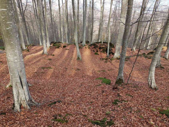Nebiyan’da Sonbahar Güzelliği