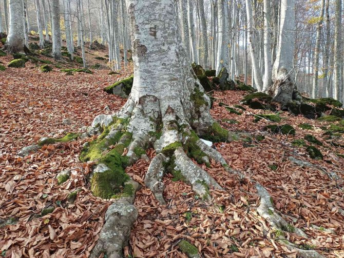 Nebiyan’da Sonbahar Güzelliği
