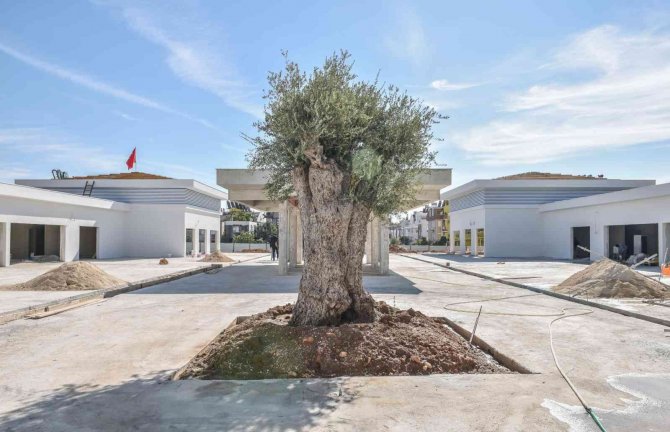 Kepez Balık Pazarı’na Akdeniz Dokunuşu