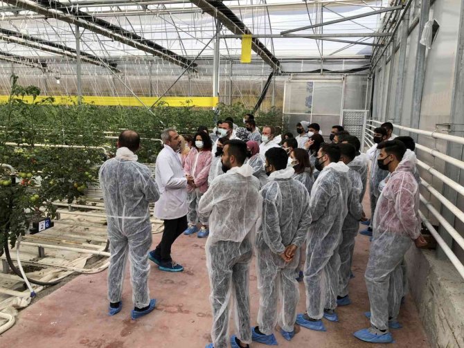 Nevü Öğrencileri Saha Çalışmalarına Devam Ediyor