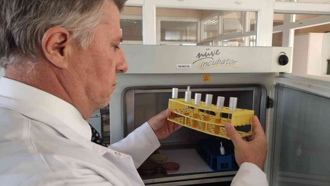 2 Saatten Fazla Kullanılan Maskeleri Laboratuvarda İnceledi Gördüklerine İnanamadı