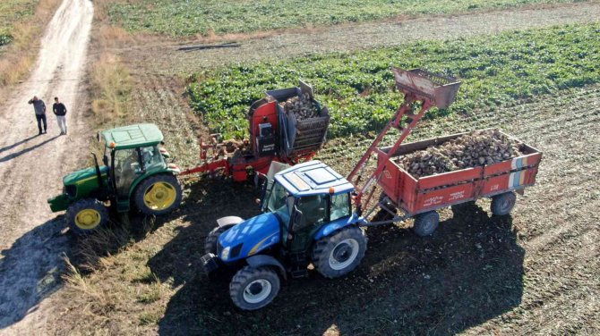 Tohumda Dışa Bağımlılıktan Kurtuluyoruz, Türk Bilim Adamları Geliştirdi