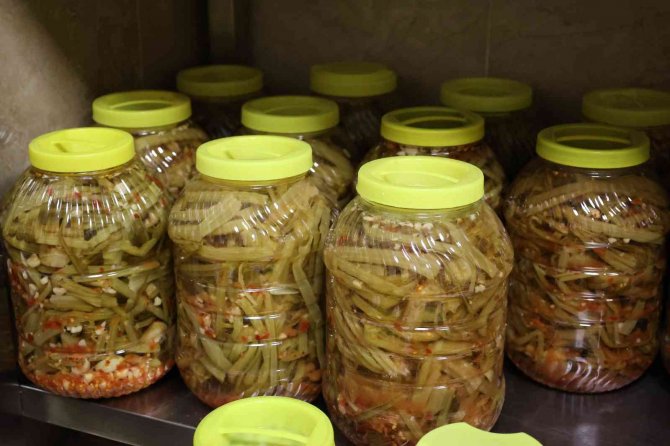 Turşunun Kursunu Kurdular