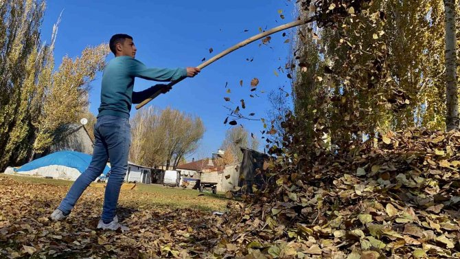 Sararan Yapraklar Toprakla Buluştu