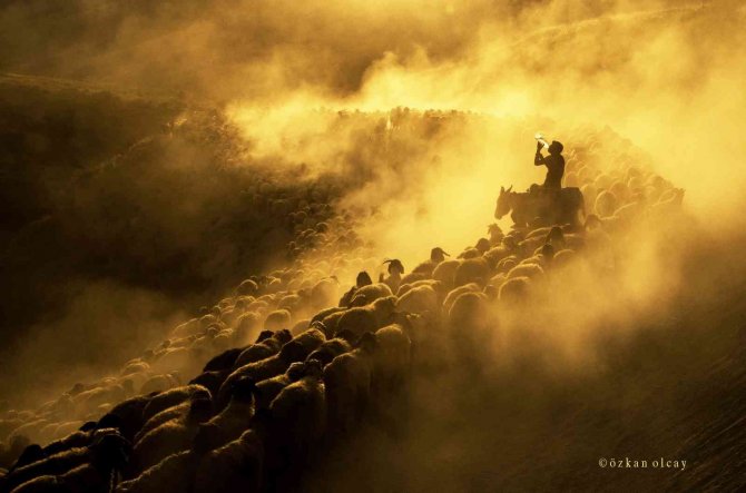 İ̇ha Muhabiri Özkan Olcay, 27. Altın Kamera Fotoğraf Yarışmasında Başarı Ödülü
