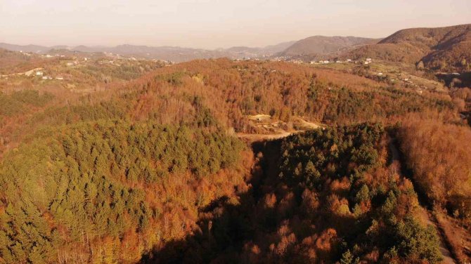 Zonguldak Ormanlarındaki Hazan Renkleri Havadan Görüntülendi