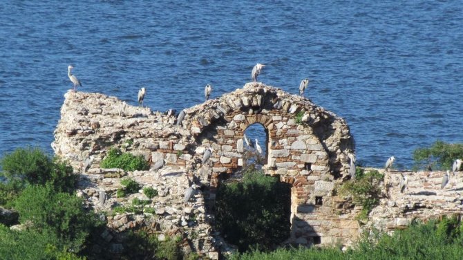 Bafa Gölü’nün Balerinleri, Görsel Şölen Oluşturdu