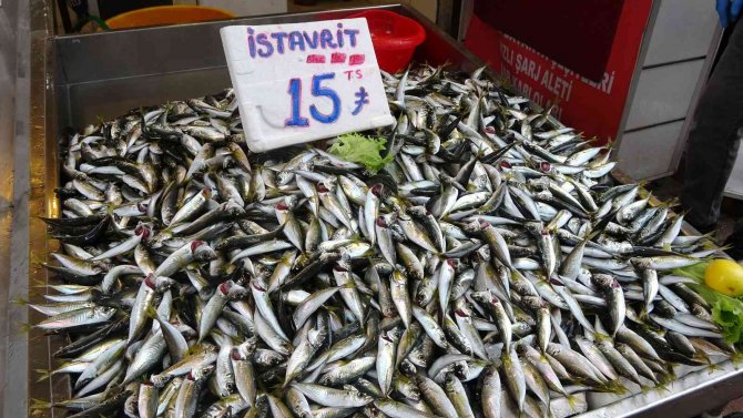 Ordu’da Hamsinin Kilosu 15 Lira