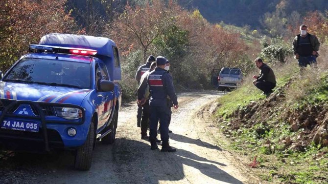 Domuz Tuzağına Yakalanan Ayı Kurtarıldı