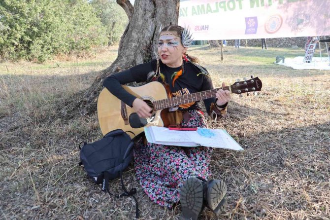 Çine’de ’Zeytin Ve Zeytinyağı Festivali’ Coşkuyla Başladı