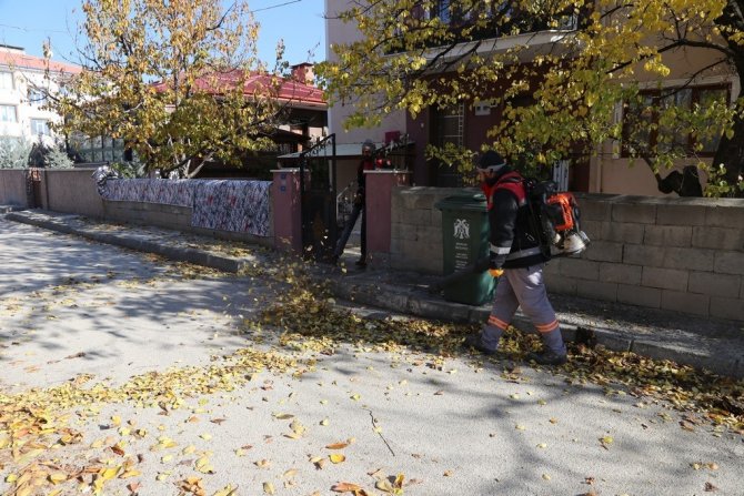 Belediyeden Sonbahar Temizliği
