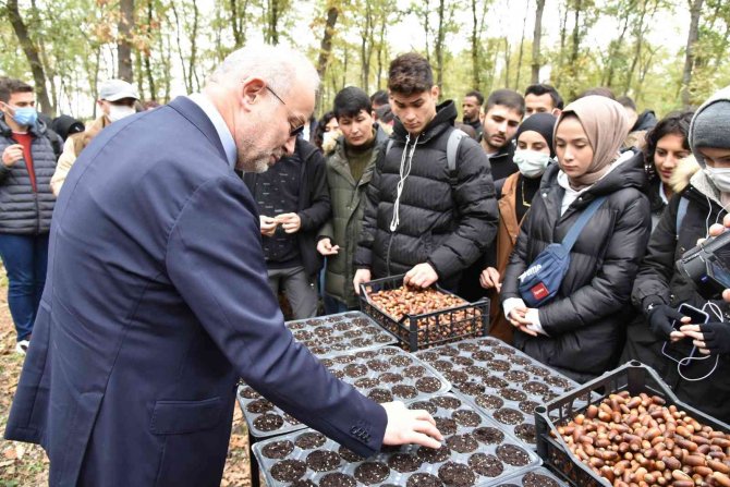Omü Kurupelit Kampüsü’nde ’Meşe Palamutları’ Toprakla Buluştu