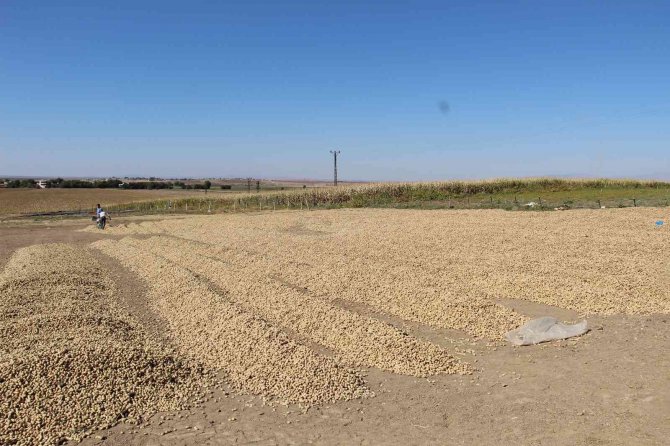 Güven Ve Huzur Ortamı Şırnak’a Yaradı