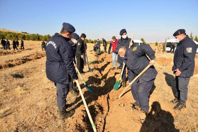 Jandarma Şehitler Ormanına Fidan Dikildi