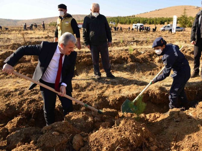 Jandarma Şehitler Ormanına Fidan Dikildi